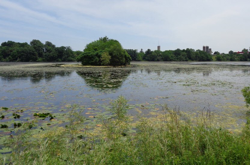 Watkins Lake State Park and County Preserve, Michigan, USA